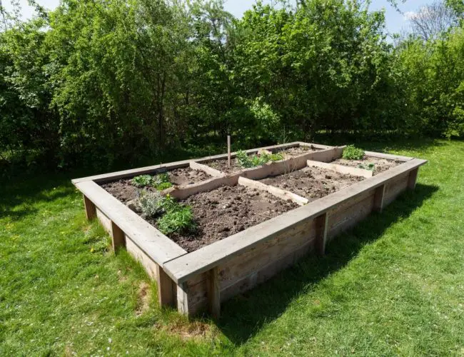 Best DIY Raised Bed Garden Ideas & Designs