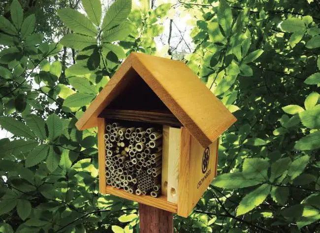 Bee Lodges-A Beginner’s Guide to Beekeeping