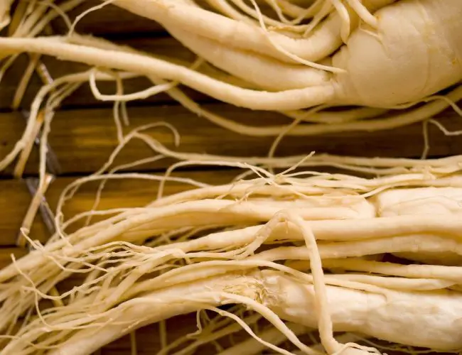 Ginseng: Health benefits, facts, and research