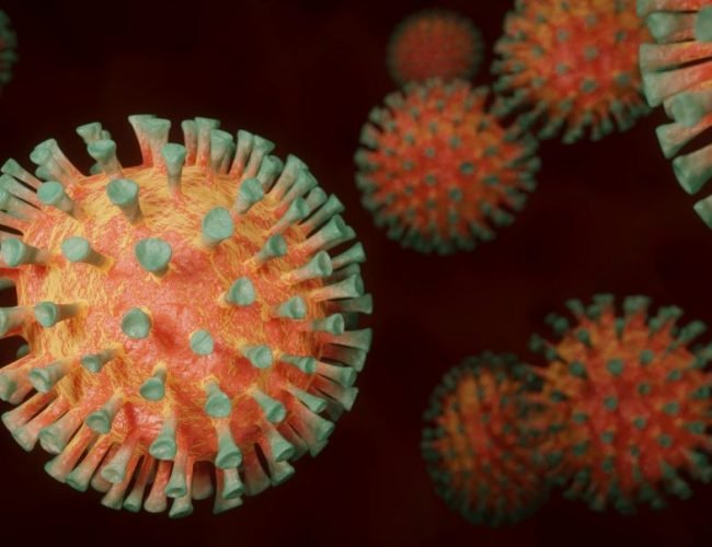 Global fear of the Novel Coronavirus