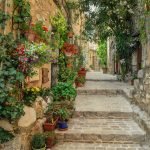 narrow paved walkway with decorative flowering plants 2849223 scaled