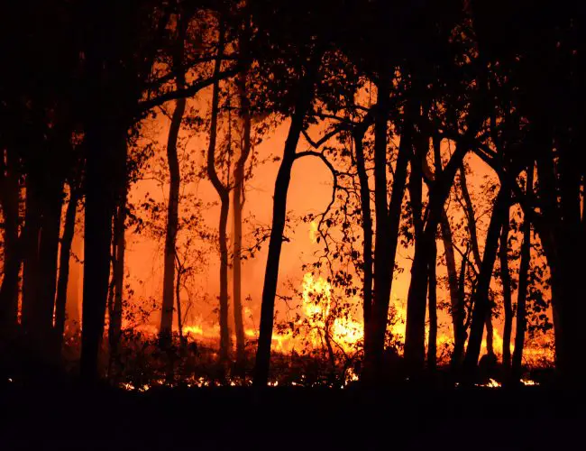 What is a bushfire?