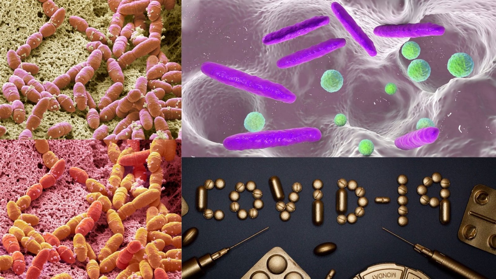 The Coronavirus Is Mutating: What We Know About the New Variants