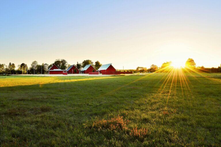 Beautiful sunset over a rural farm in Sweden with red barns and lush fields.