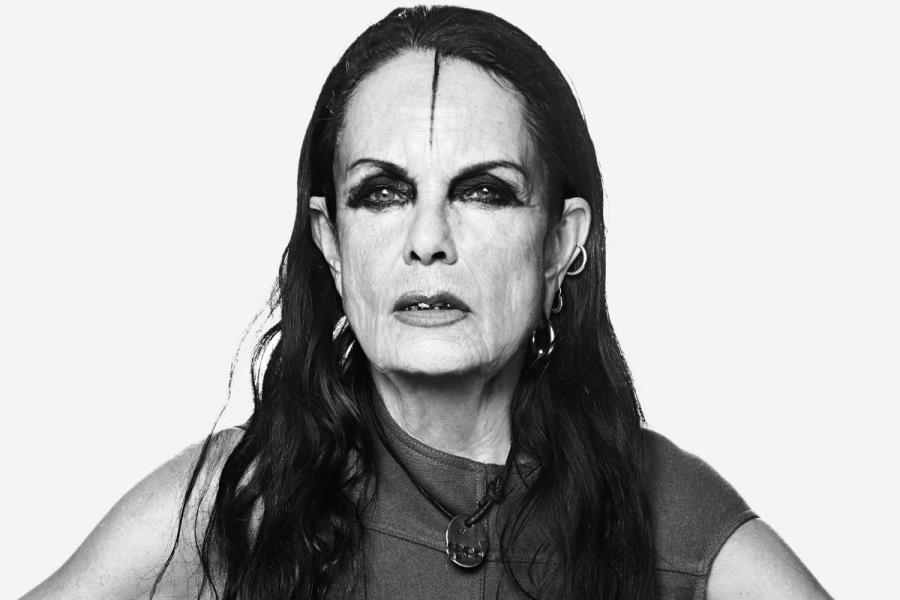 Michele Lamy Net Worth